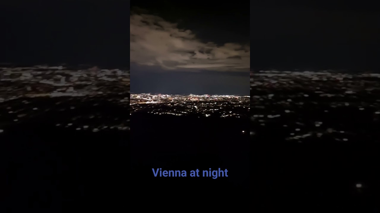 Vienna at night