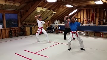 Pyong An Yi Dan side view studio 2016