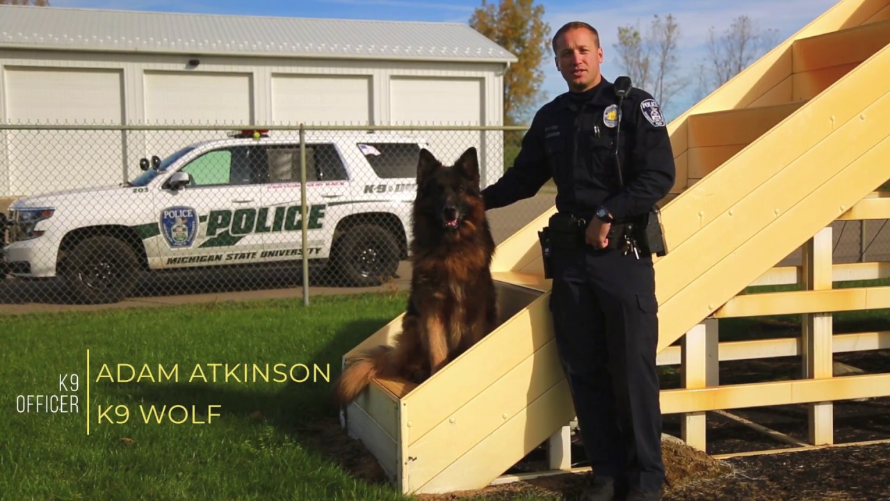 Police K9 Unit, Michigan State University Police Department YouTube