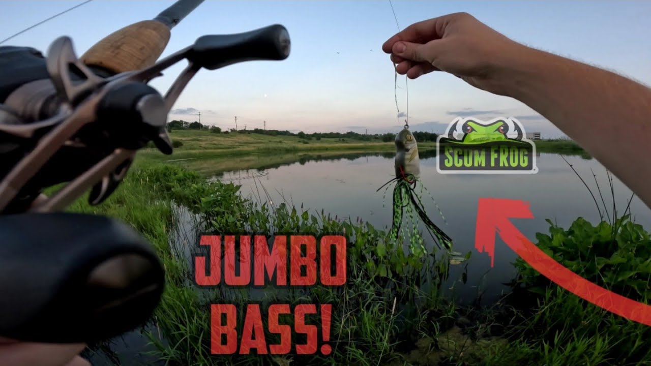 Huge Bass Hits The Scum Frog Biggest Of The Year!