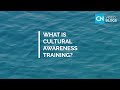 What is cultural awareness training? - VIDEO BLOGS by Country Navigator