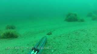 Подводная охота Черное Море 10.05.2015