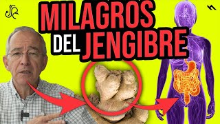 CUIDADO MILAGROS Y MARAVILLAS DEL JENGIBRE Serán Ciertos? - Oswaldo Restrepo RSC