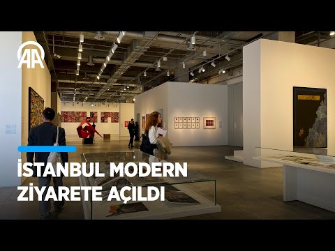Video: LA County Sanat Müzesi'ni Keşfetmek