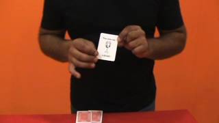 Celebrity dipano magic show - three card monde Net Worth