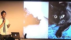 Theo The Talking Cat Youtube Theo The Talking Cat Youtube