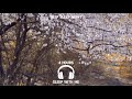 🌙 Fall Asleep Instantly | Deep Sleep White Noise &amp; Soft Ambience (4H)깊은 숙면 🌙 빠르게 잠드는 백색소음