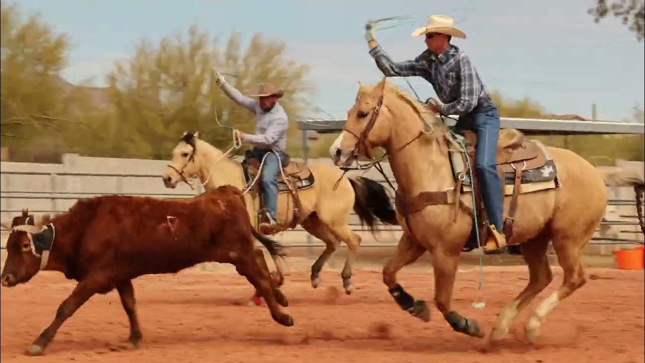 MC RED WHISKEY Consigned to the Rancho Rio Horse Sale Spring Classic
