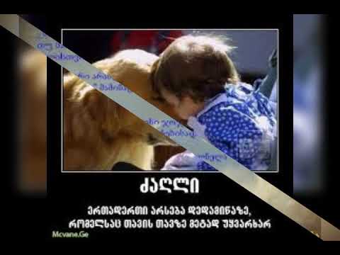 მარტოდ დარჩენილი წითელი ვარდები (martod darchenili witeli vardebi)