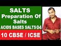 PreParation Of SALTS | Soluble and insoluble Salt | Class 10 ICSE / CBSE | Acids Base Salts |