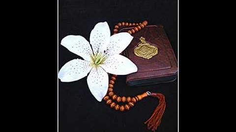 الشيخ إدريس أبكر .. تلاوة خاشعة (( وقال الذين لا يرجون لقائنا ))