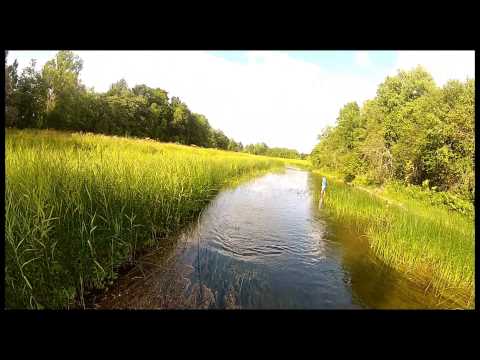 Video: Suvised Kalapüügi Näpunäited