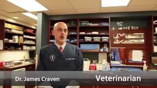 Welcome to Animal Clinic East