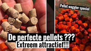 De meest attractieve pellets voor het vissen op brasems en karpers?
