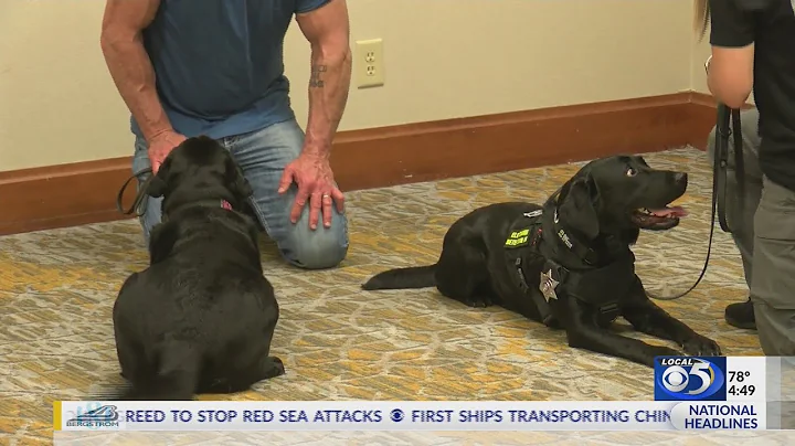 Electronic Storage Detection canines role in fighting Internet Crimes Against Children