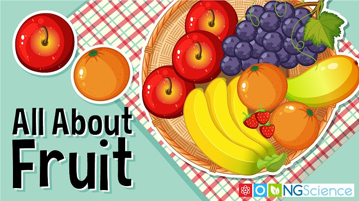 All About Fruit