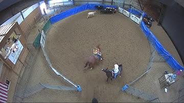 Big Sky Ranch Sorting Saddle Series #5 - #8 RANCH HAND (2 CAP SORTER) - Round #1 - Ride #3
