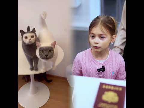 Я позволю большему количеству людей увидеть интересное видео.