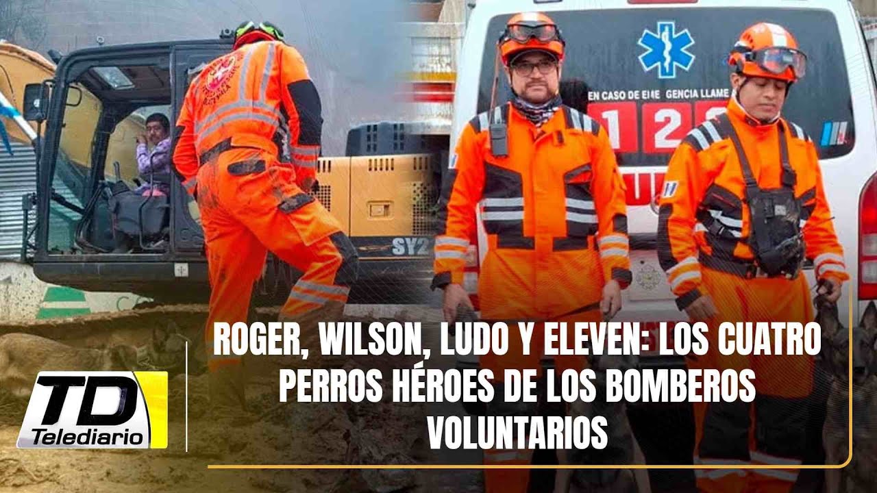 Roger, Wilson, Ludo y Eleven: Los cuatro perros héroes de los Bomberos Voluntarios