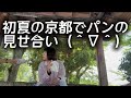 たま木亭大好き(^∇^)