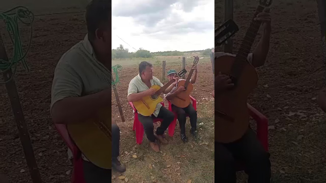 8 de febrero de 2026