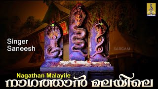 നാഗത്താൻ മലയിലെ | Chinthu Pattu | Naga Devotional Song | Palkavadi 1 | Nagathan Malayile