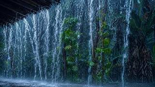 Extreme Tropical Rainstorm 🌧️ Cozy Roof Rain Sounds for Sleep, Relaxation & Insomnia