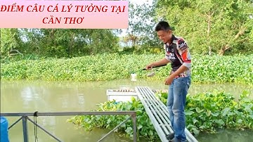 ĐIỂM CÂU CÁ LÝ TƯỞNG - TẠI CẦN THƠ - VIDEO HƯỚNG DẪN ĐƯỜNG ĐI TỚI BÈ LUÔN