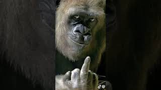 Ni Se Komo Kambiar La 