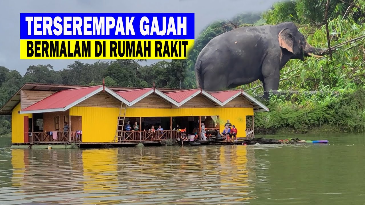 Terserempak Gajah ketika bermalam di rumah rakit Tasik Kenyir Terengganu