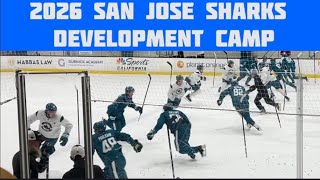 2026 San Jose Sharks Development Camp 