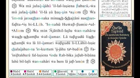 ختمة من مصحف التجويد باللغة الألمانية الصفحة رقم 480