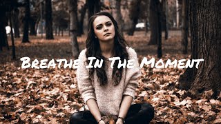 APEK x HALIENE x Man Cub - Breathe In The Moment (Lyric Video)