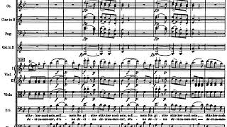 Mozart: Don Giovanni-&quot;Fin ch&#39;han dal vino&quot; with Orchestra, 2x{SCORE}