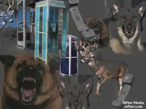 Joe's Bad Day - Man Gets Bit by Deer and Dog - 911 Call