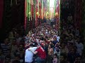 عازف اورج محمد صالح فى تنجيد