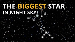 Sirius in Astrology- Uncover the Mysteries
