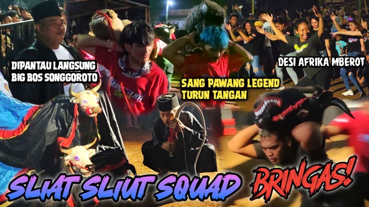 GANAS! Saat Pawang Legend Anusopati Turun Tangan Atasi Banteng SLIAT SLIUT SQUAD Kalap Makin BRINGAS