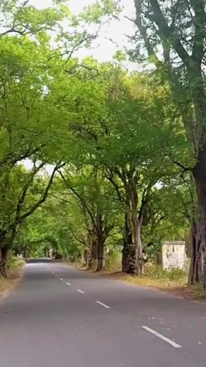 🤳மொபைல் போட்டோகிராபி - ShareChat