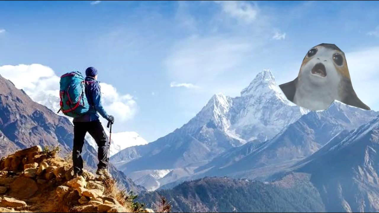 Star wars Porg MEME  AHHHH