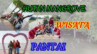 HUTAN MANGROVE TANGERANG | PANTAI WISATA DI TELUKNAGA TANGERANG @WISATA ALAM
