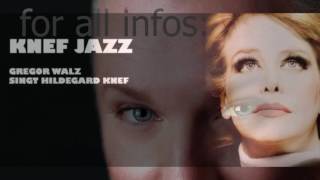 17 Millimeter fehlten mir zu meinem Glück - Gregor Walz singt KNEF chords