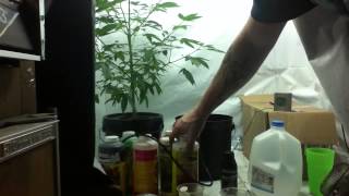 Update 3 changing nutes on ktrain