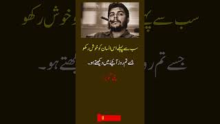 Look in the Mirror: Deep Che Guevara Quote You Need Today! 💯 | UFB Spark #shorts