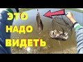 УБИЙЦА КАРАСЯ !!! НЕ УСПЕВАЮ ЗАБРОСИТЬ !!! Супер Рыбалка !!!