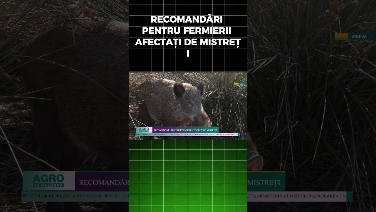 RECOMANDĂRI PENTRU FERMIERII AFECTAȚI DE MISTREȚI