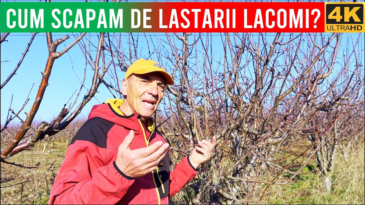 Cum Scapam de Lastarii Lacomi?🌿✂️