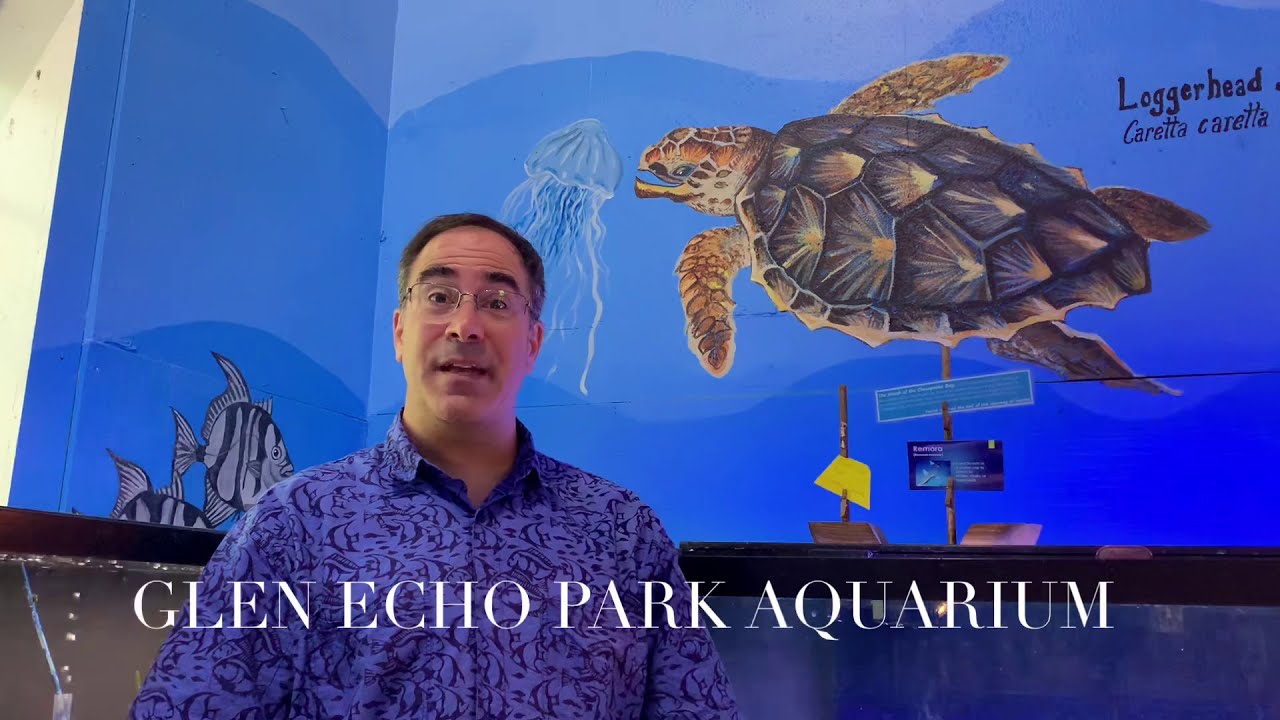 Glen Echo Park Aquarium YouTube