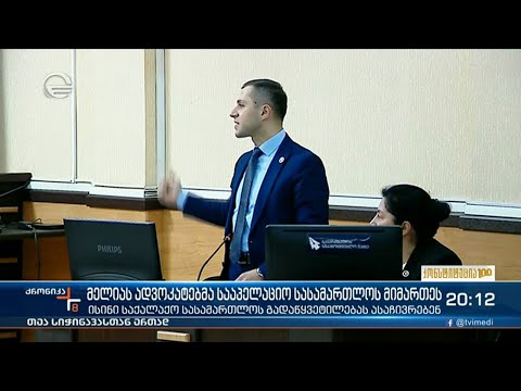 მელიას ადვოკატებმა სააპელაციო სასამართლოს მიმართეს