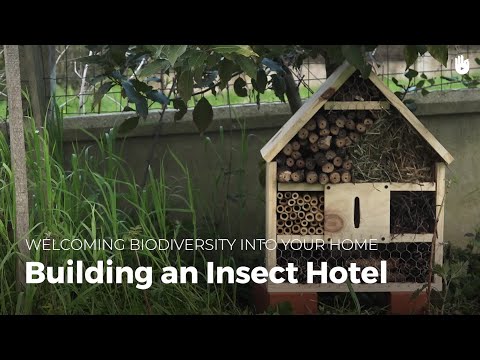 فيديو: فنادق حشرات محلية الصنع - بناء فندق حشرات للحديقة